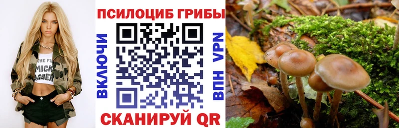 Галлюциногенные грибы мухоморы  ссылка на мегу онион  Чулым 